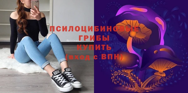 мескалин Медвежьегорск