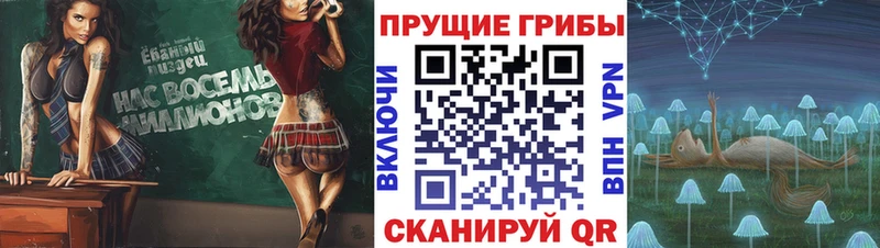 Псилоцибиновые грибы Psilocybine cubensis  Купить закладки  Няндома 